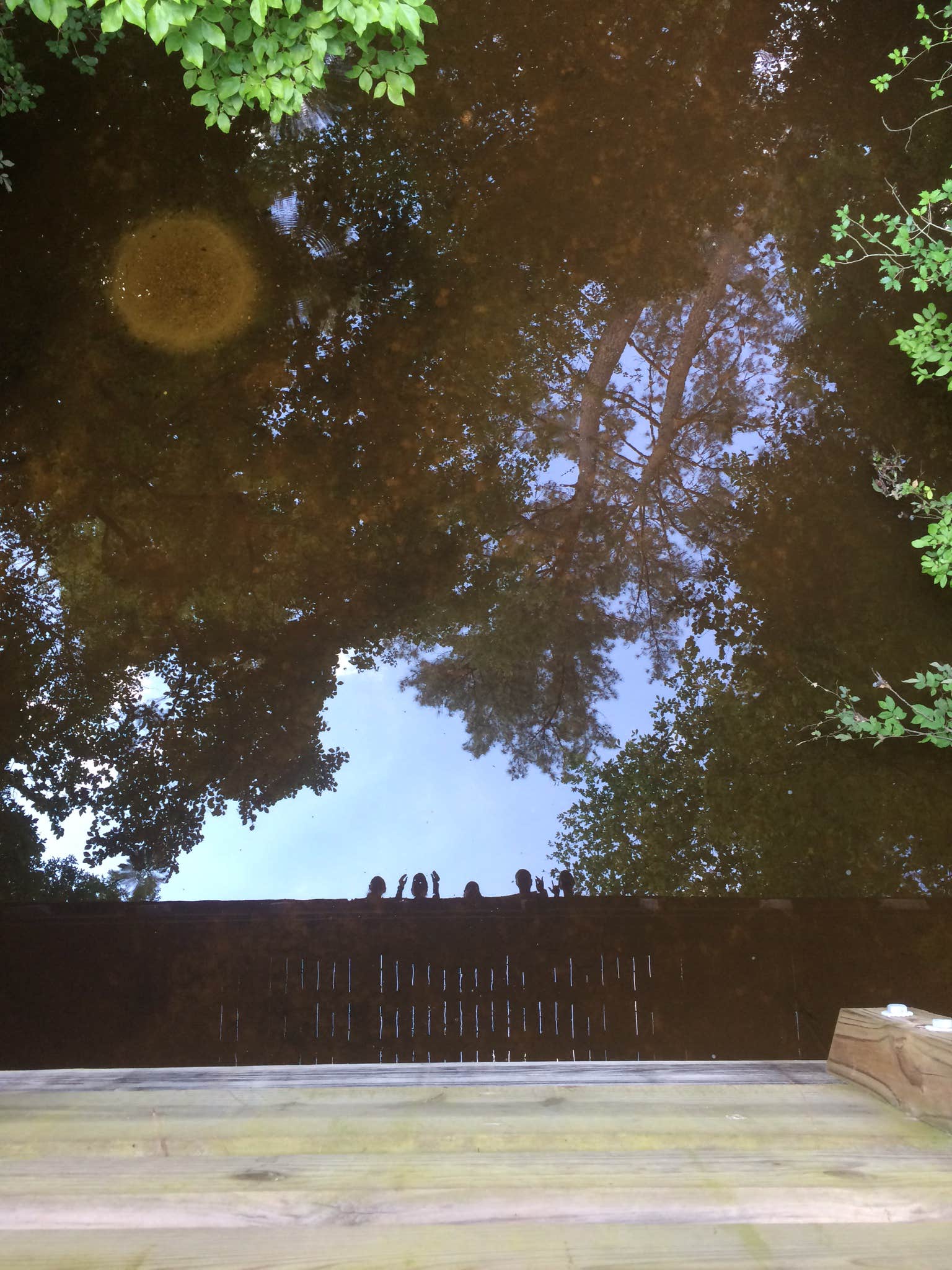 Camper-submitted photo at Moccasin Branch Campground — Raven Rock State Park near Southern Pines, NC