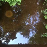 Review photo of Moccasin Branch Campground — Raven Rock State Park by Scott B., June 28, 2017