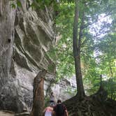 Review photo of Moccasin Branch Campground — Raven Rock State Park by Scott B., June 28, 2017