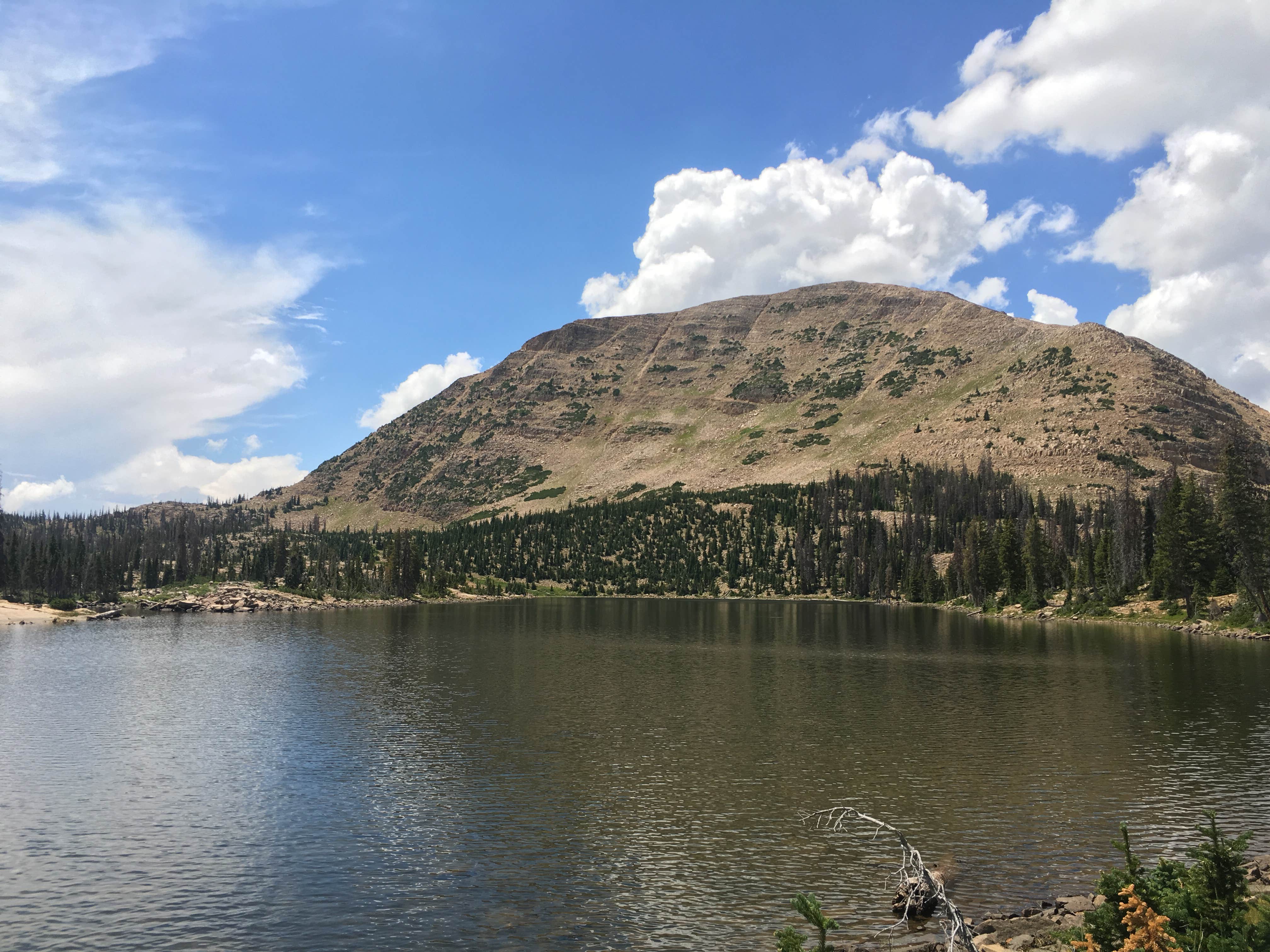 Camper submitted image from Beaver Creek - 4