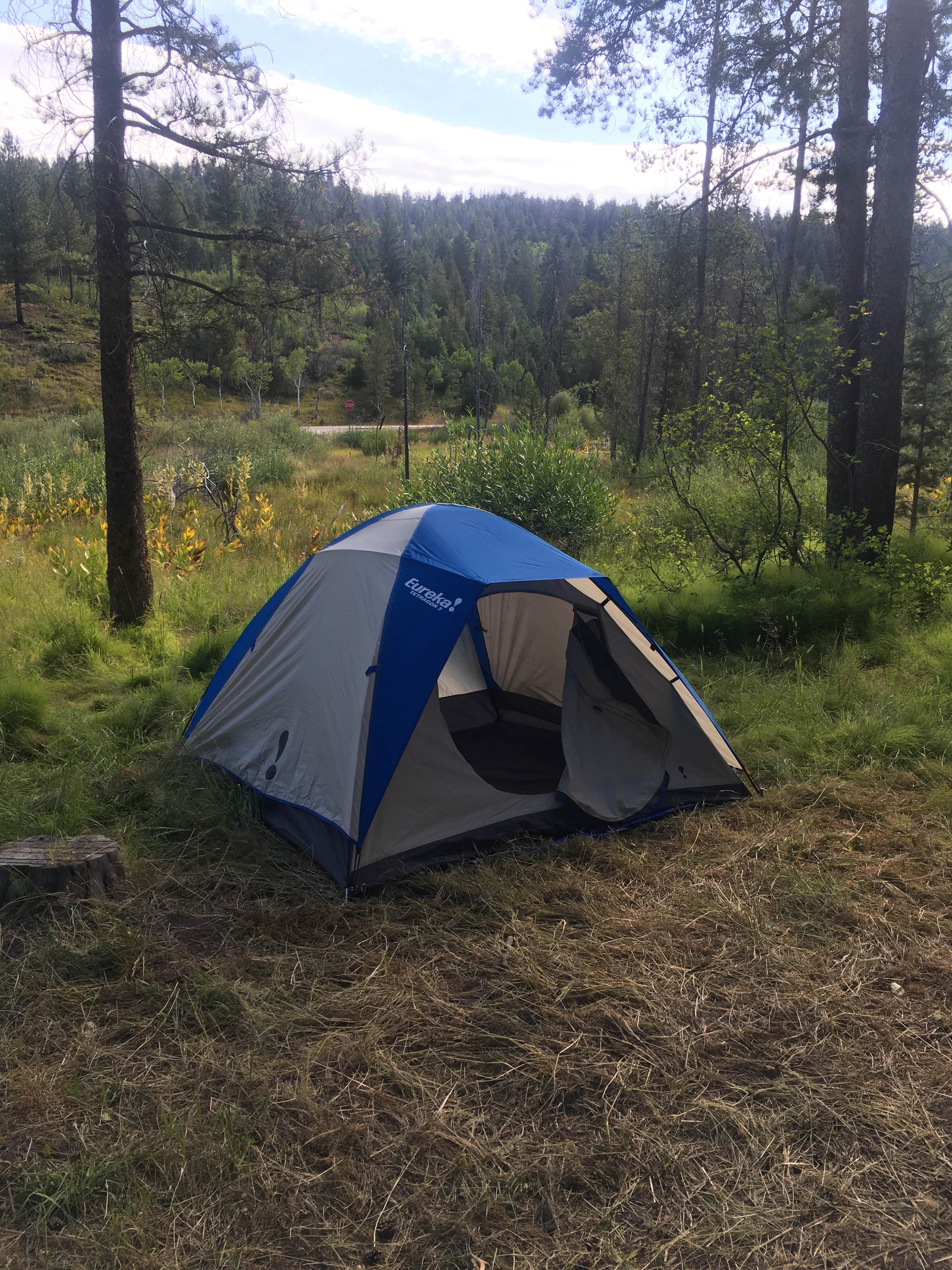 Camper submitted image from Beaver Creek - 2