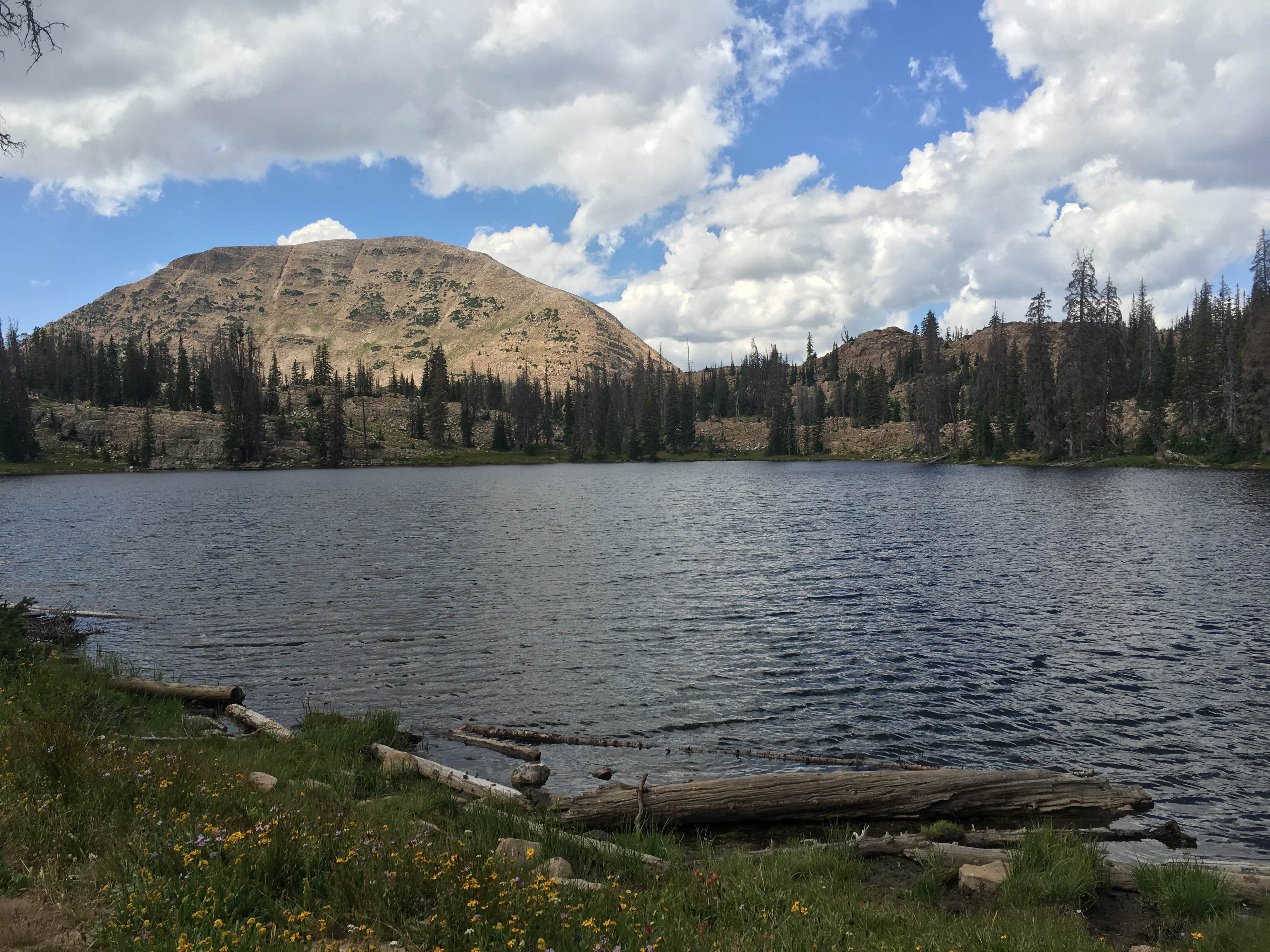 Camper-submitted photo at Beaver Creek near Fish Haven, ID