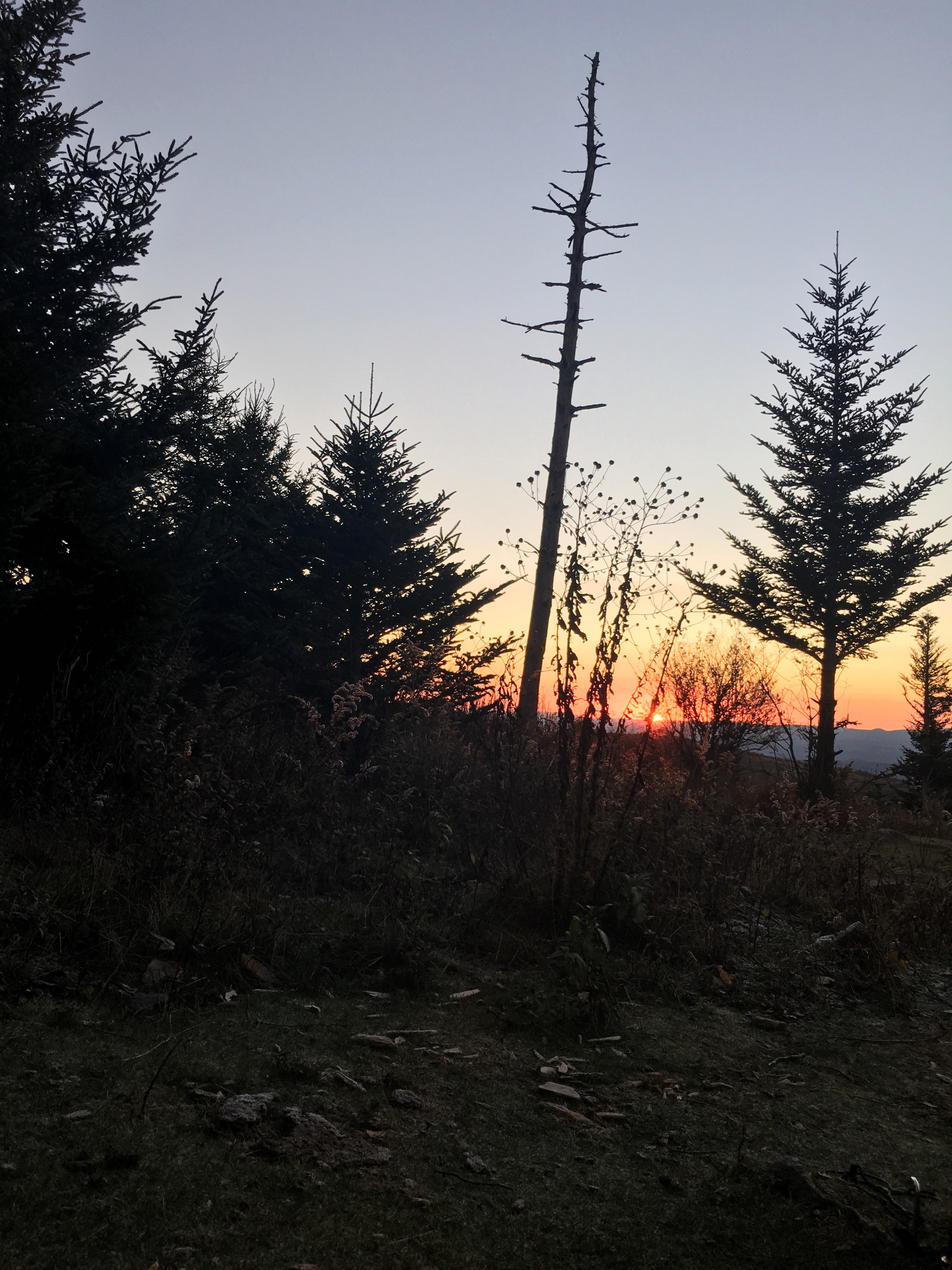 Camper submitted image from Chestnut Hollow Horse Campground — Grayson Highlands State Park - 2