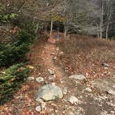 Review photo of Chestnut Hollow Horse Campground — Grayson Highlands State Park by Scott B., June 28, 2017