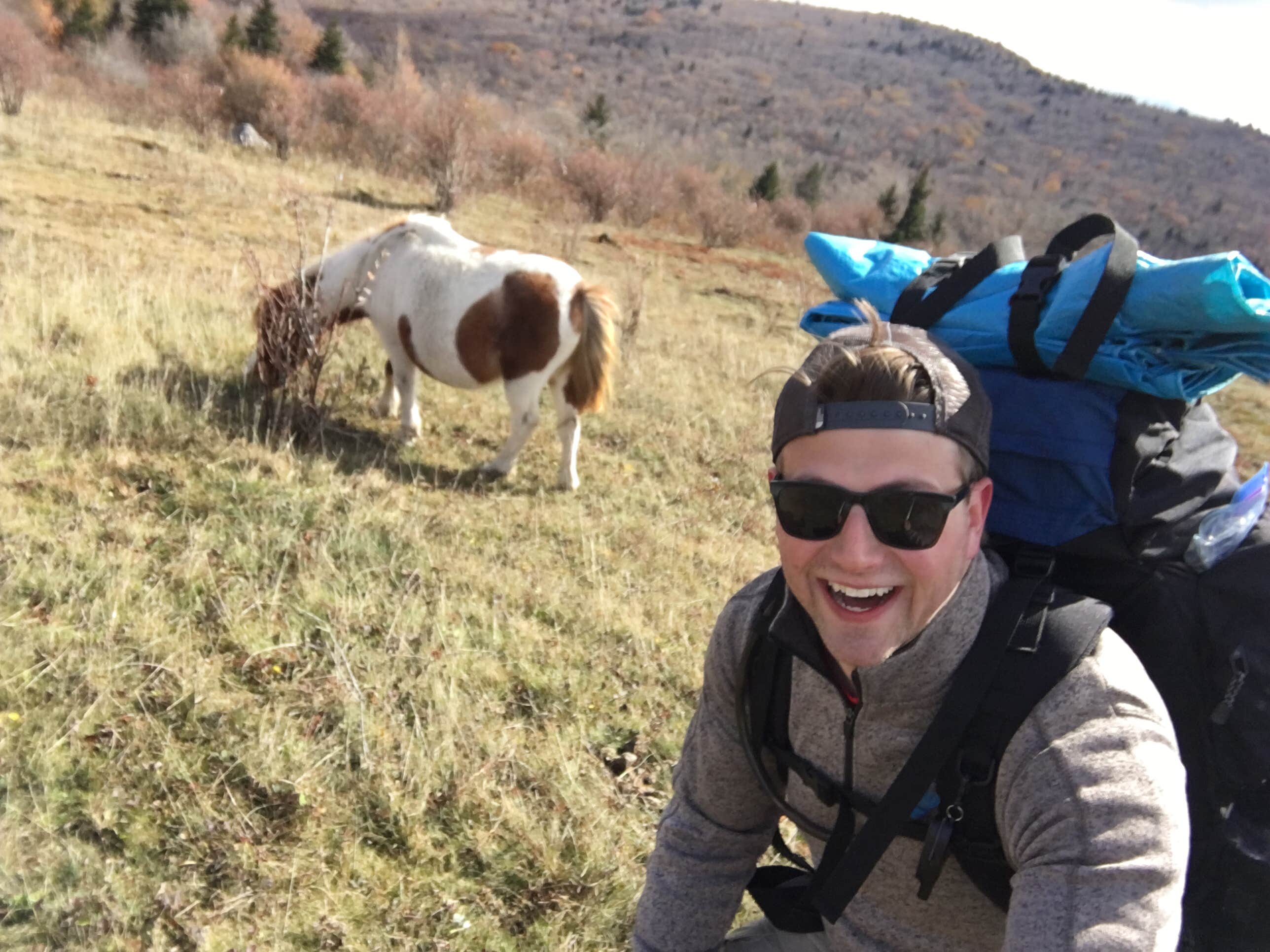 Grayson highlands horse camp hotsell