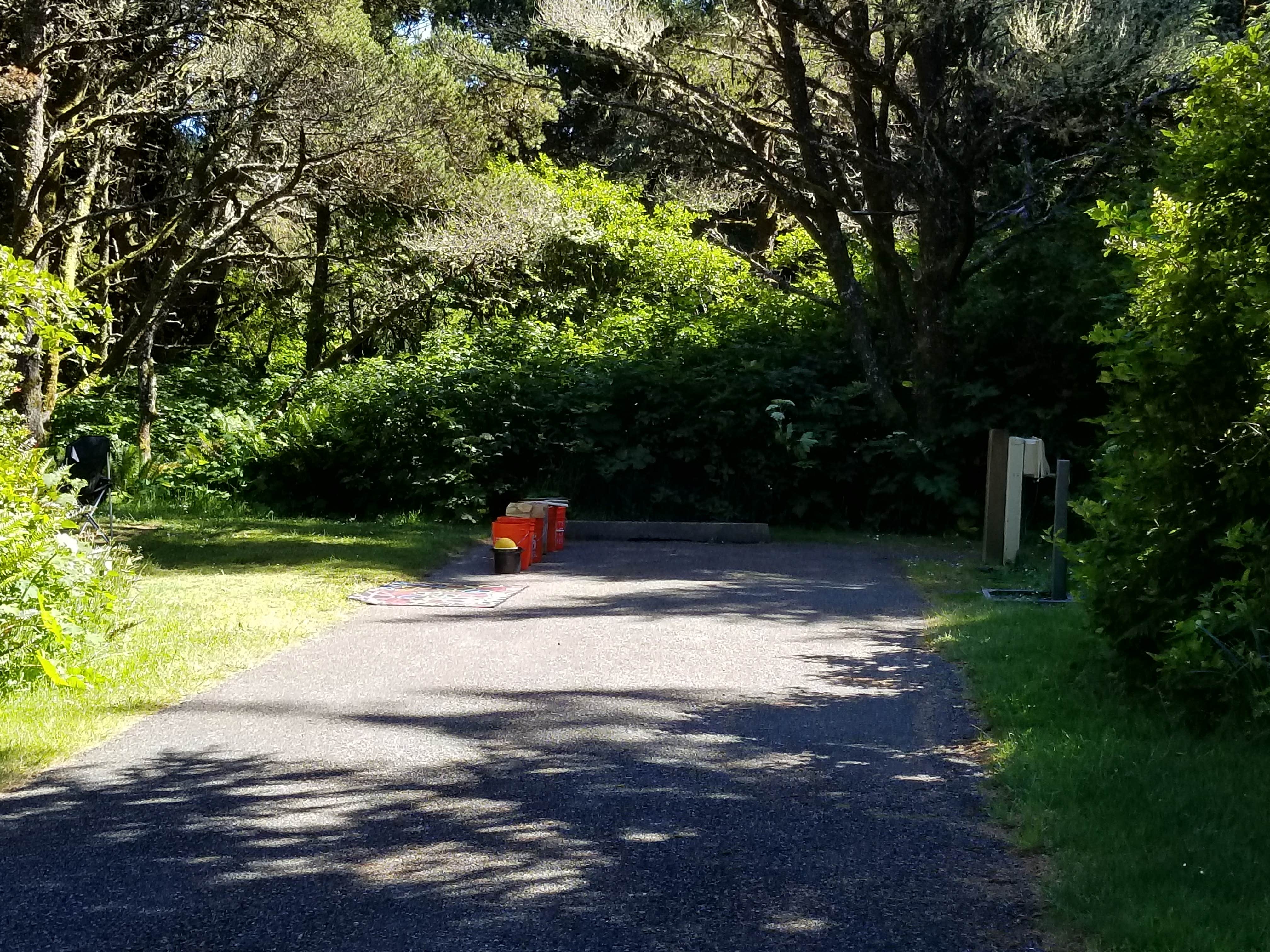 Camper submitted image from Cape Blanco State Park Campground - 3