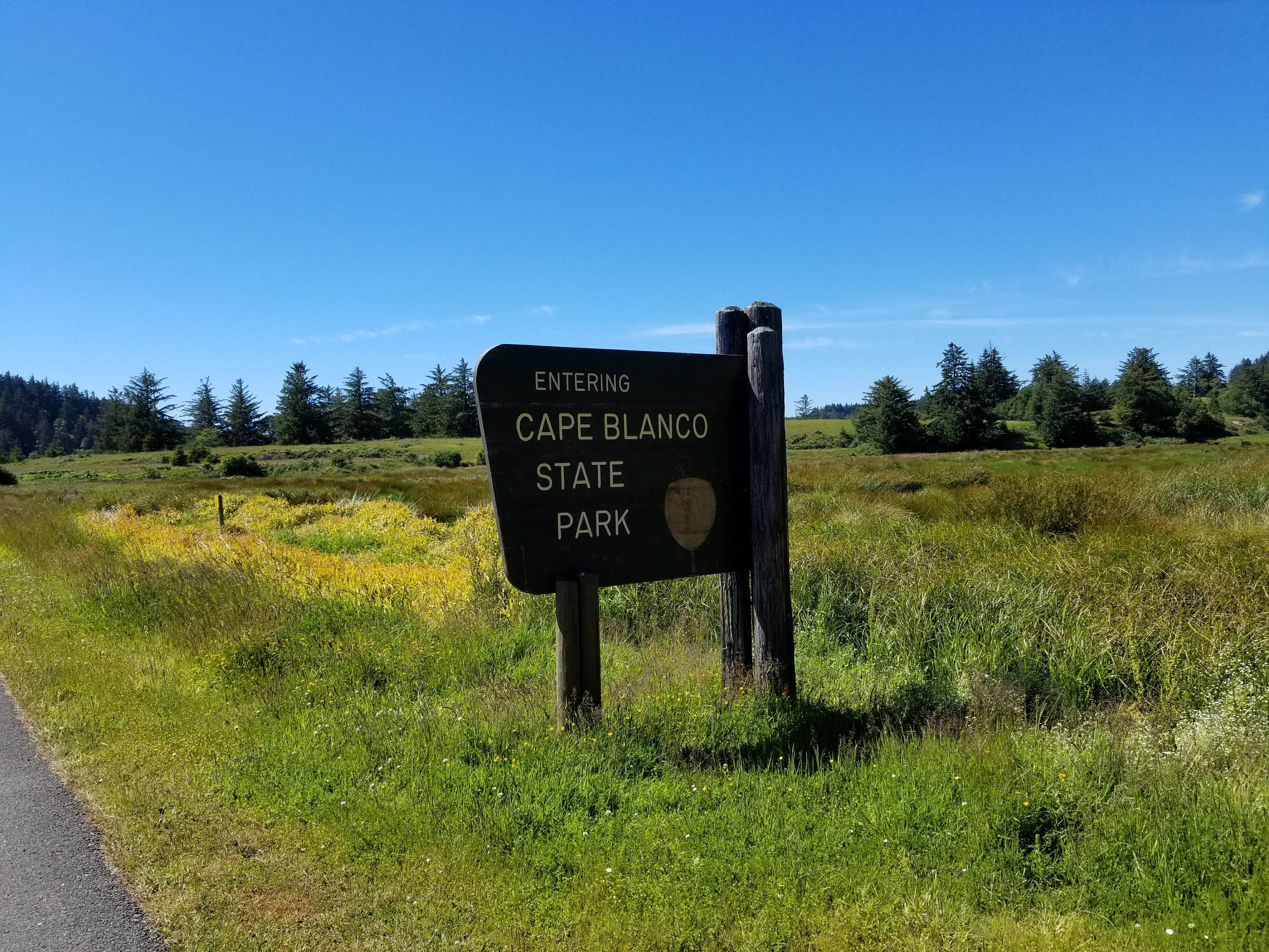 Camper submitted image from Cape Blanco State Park Campground - 4