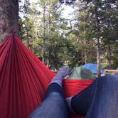 Review photo of Jenny Lake Campground — Grand Teton National Park by Kelly Z., June 22, 2016