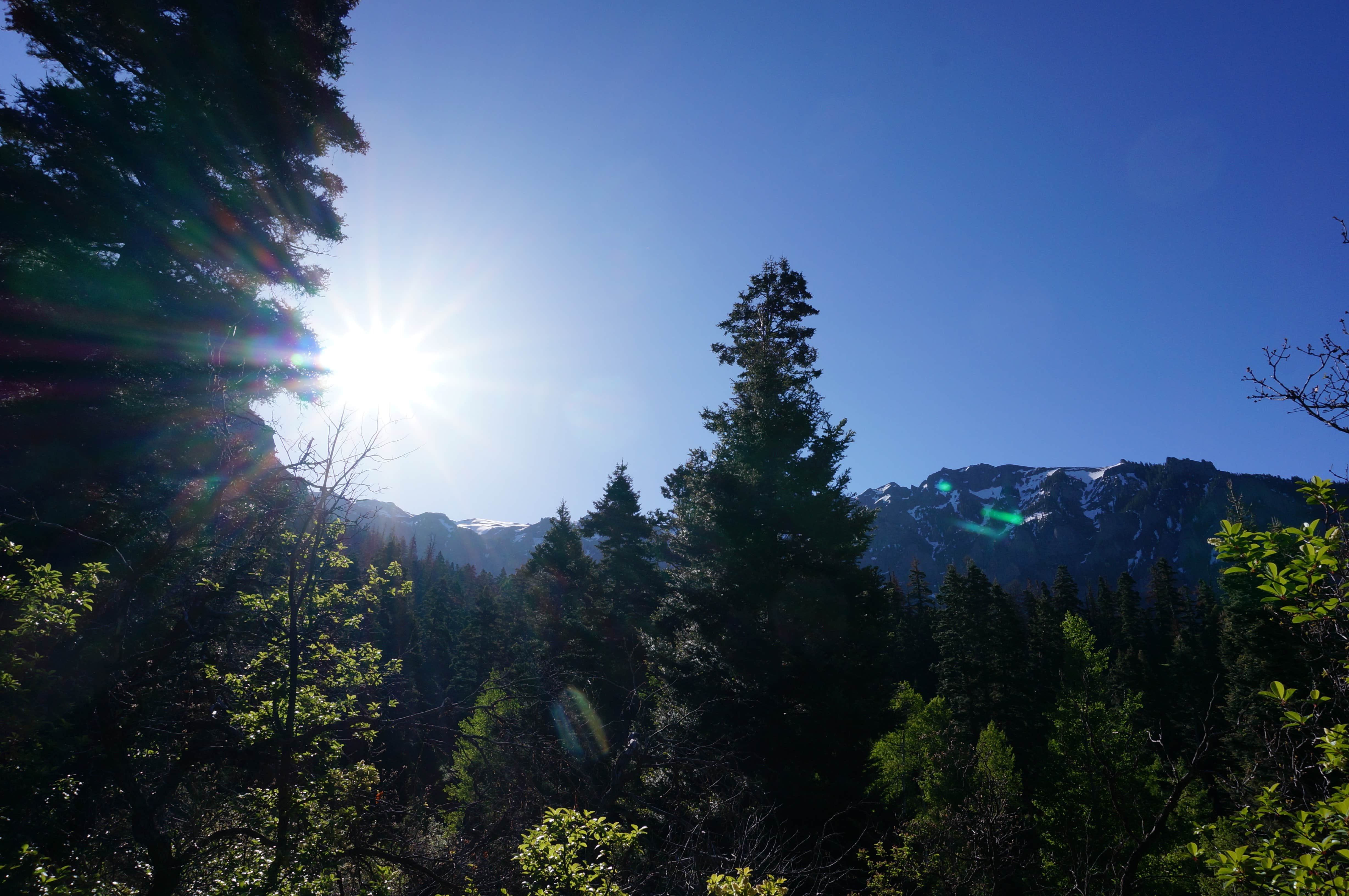 Camper-submitted photo at Amphitheater Campground near Ridgway, CO