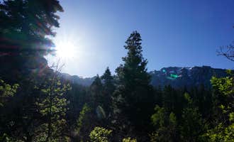 Camping near Angel Creek Campground: Amphitheater Campground, Ouray, Colorado