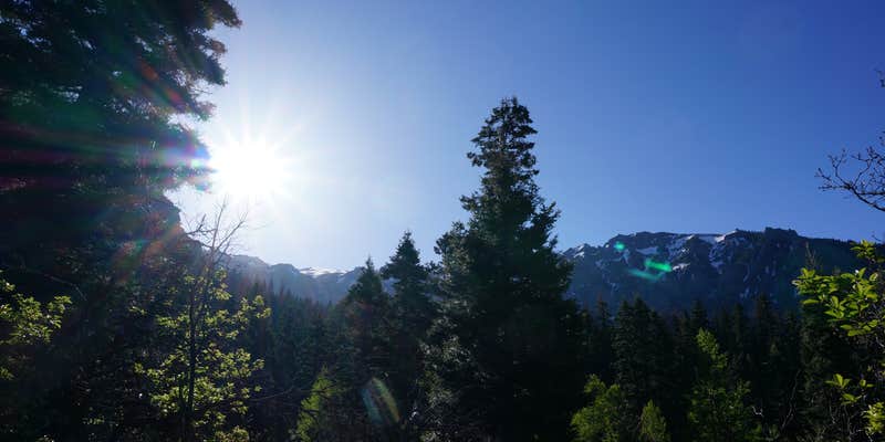 Camper submitted image from Amphitheater Campground