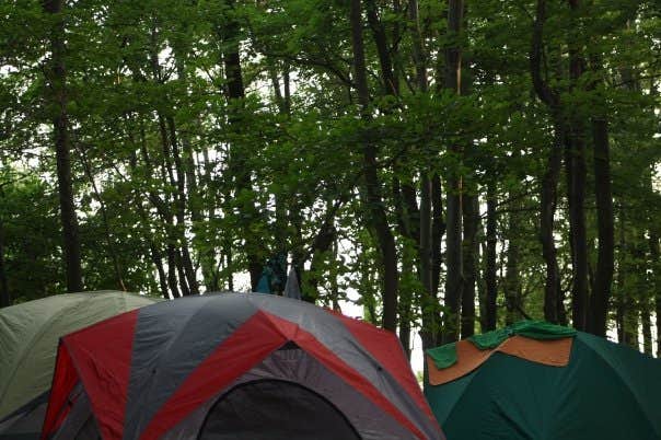 Tiffany N.'s photo of tent camping at Round Valley State Park Campground near Fort Washington, PA