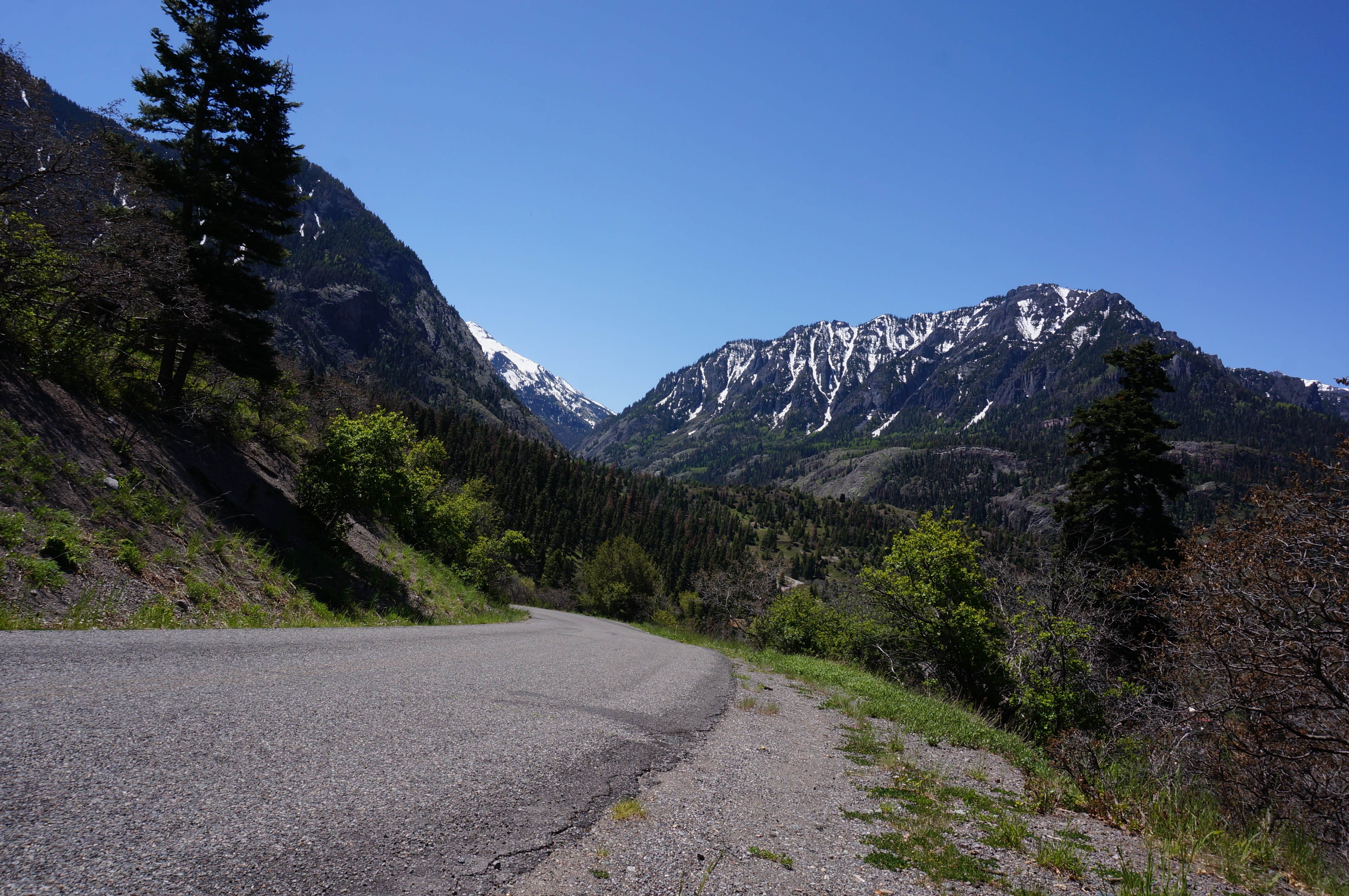 Camper submitted image from Amphitheater Campground - 3