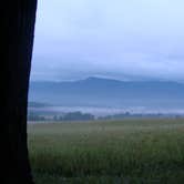 Review photo of Cades Cove Campground by Brittany S., June 22, 2016