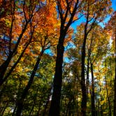 Review photo of Wilderness State Park Camping by Shari  G., June 28, 2017