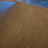 Review photo of Wilderness State Park Camping by Shari  G., June 28, 2017