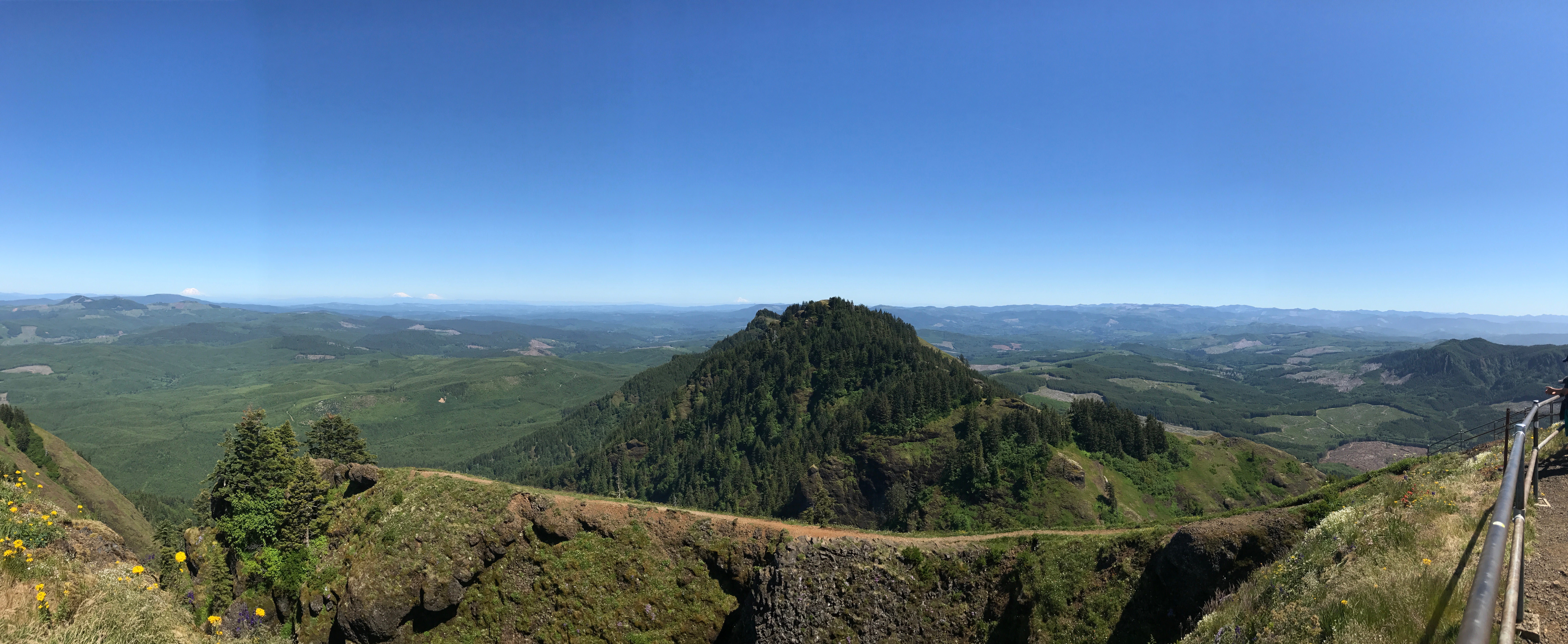The view from Saddle Mountain Summit looking East.