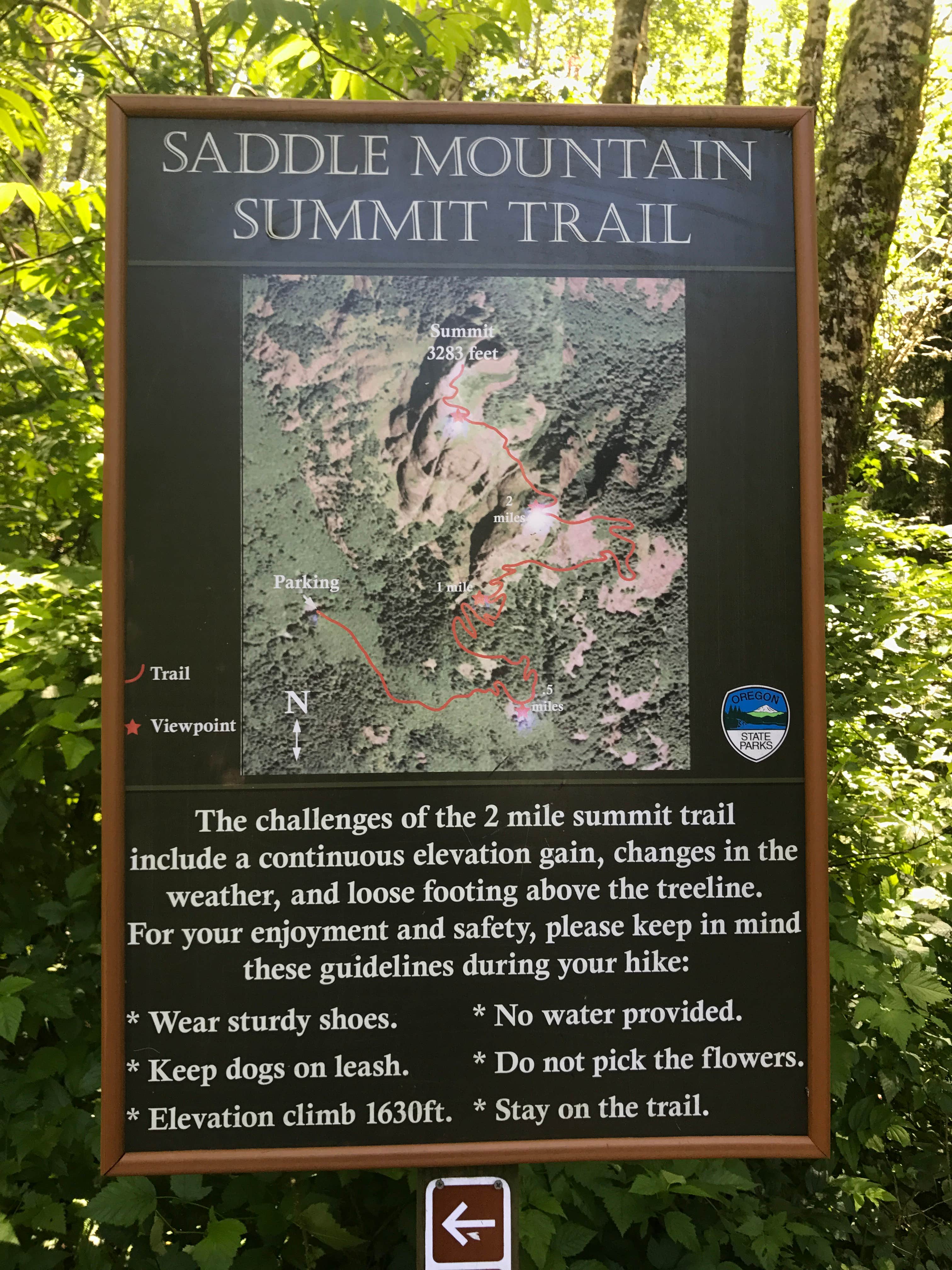 Camper submitted image from Saddle Mountain State Park Campground - PERMANENTLY CLOSED - 5