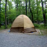 Review photo of Cades Cove Campground by Brittany S., June 22, 2016