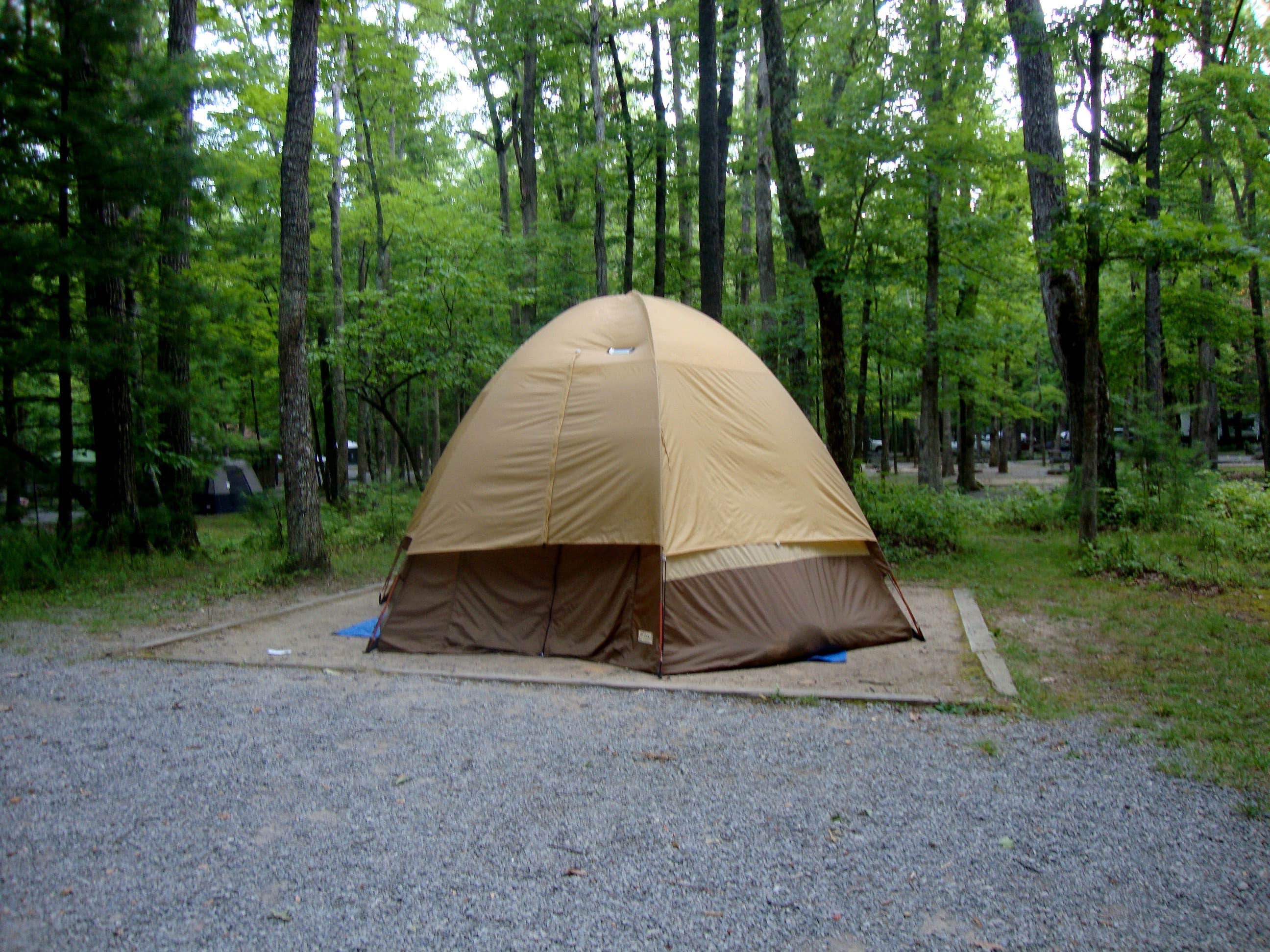 Camper submitted image from Cades Cove Campground - 4