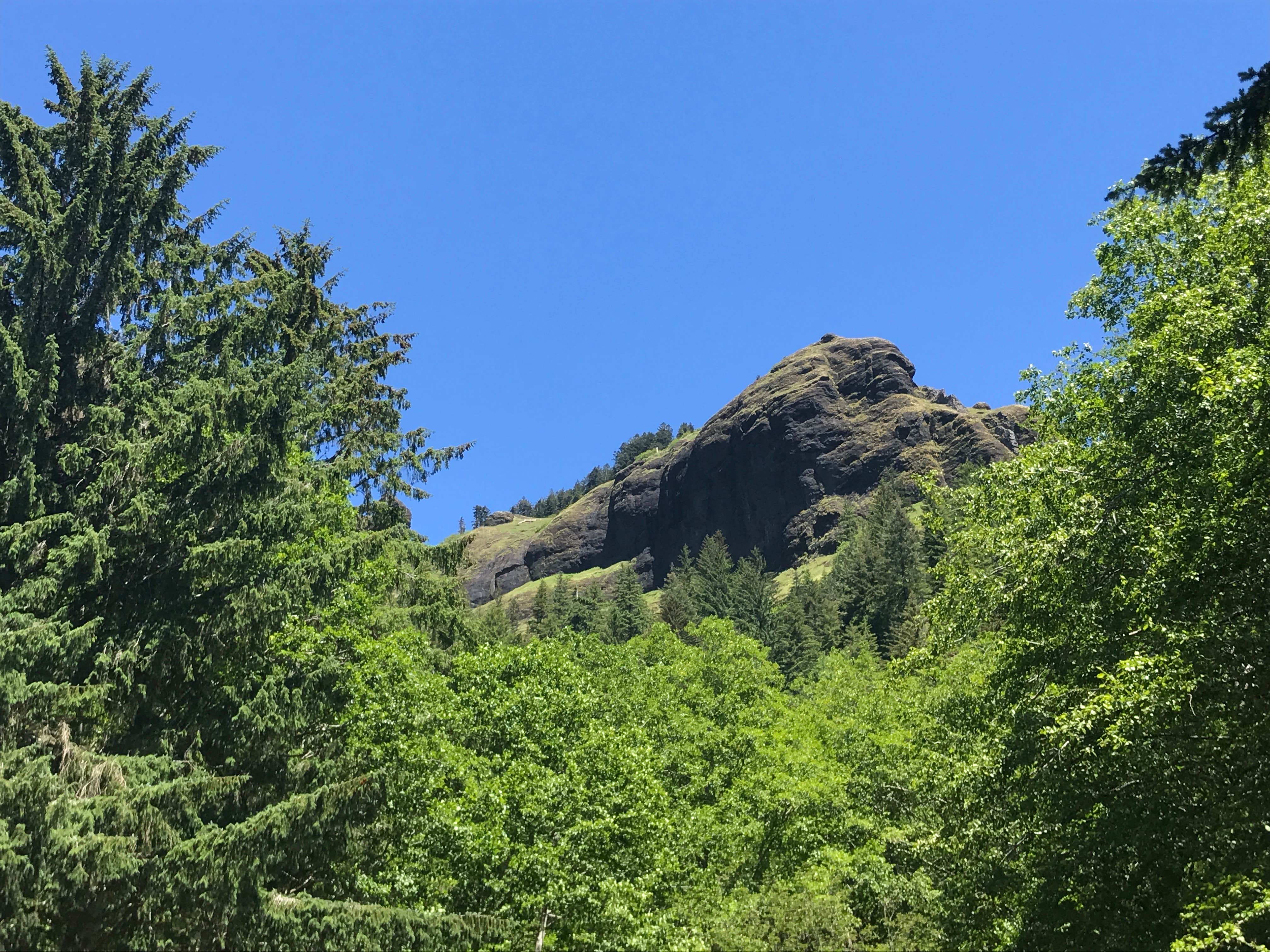 Camper submitted image from Saddle Mountain State Park Campground - PERMANENTLY CLOSED - 1