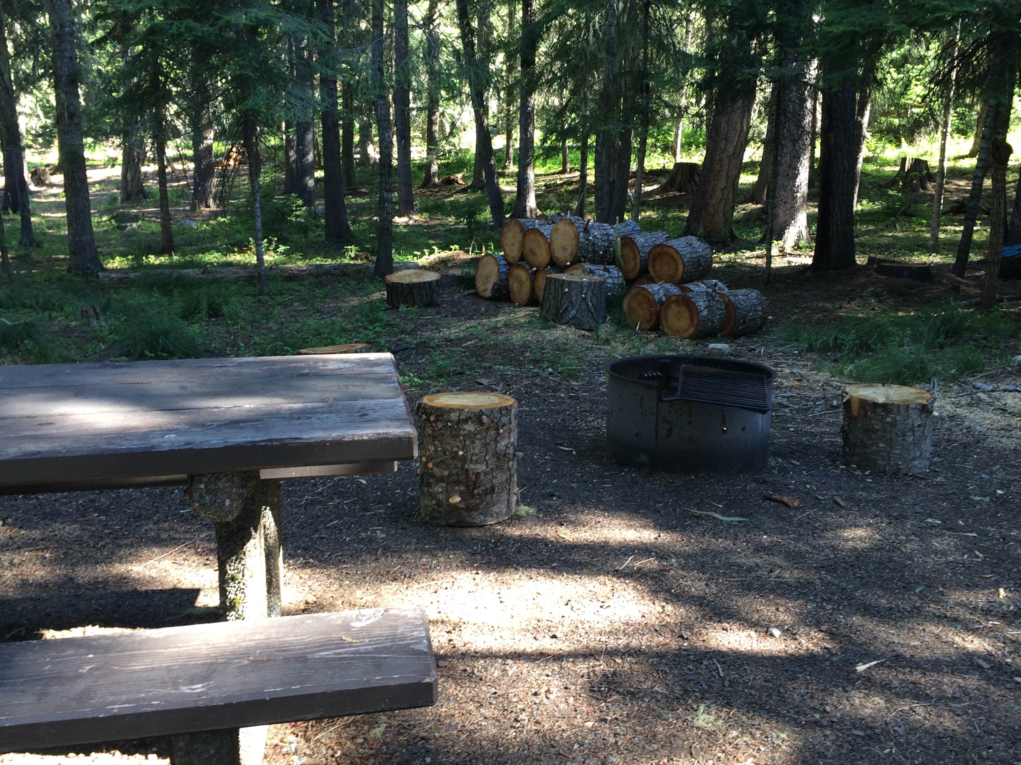 Nez PerceClearwater/Powell Camping The Dyrt