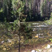 Review photo of Powell Campground by Gretchen B., June 27, 2017