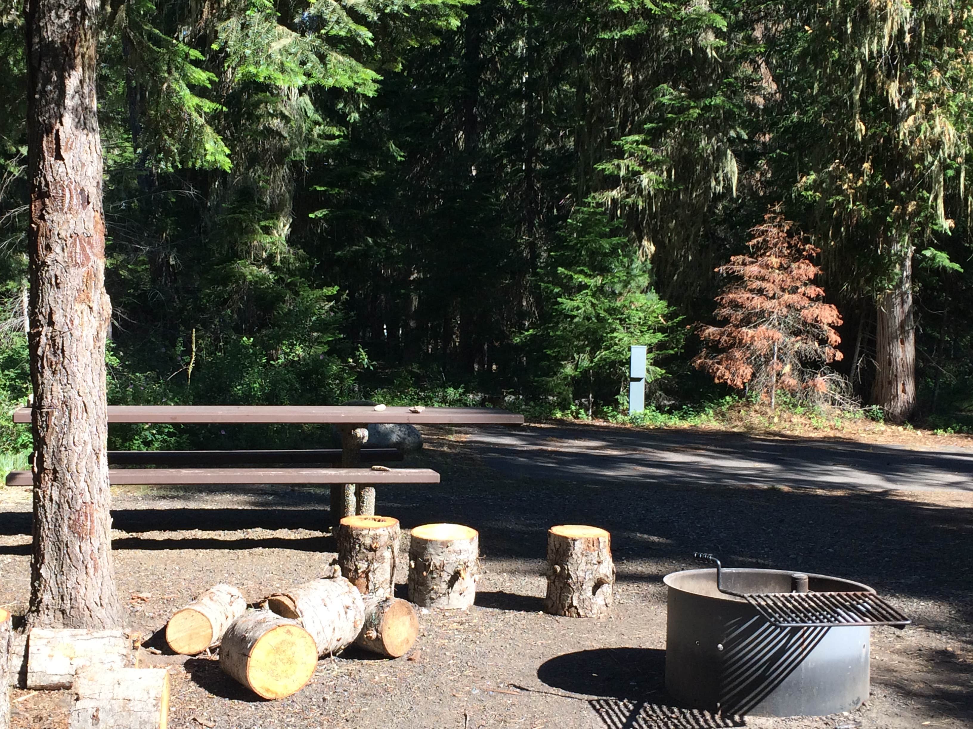 Powell Campground Camping The Dyrt