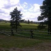 Review photo of Pine Forest RV Park by Cortney M., June 28, 2017