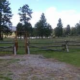 Review photo of Pine Forest RV Park by Cortney M., June 28, 2017