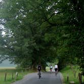 Review photo of Cades Cove Campground by Brittany S., June 22, 2016