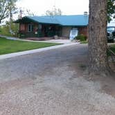 Review photo of Pine Forest RV Park by Cortney M., June 28, 2017