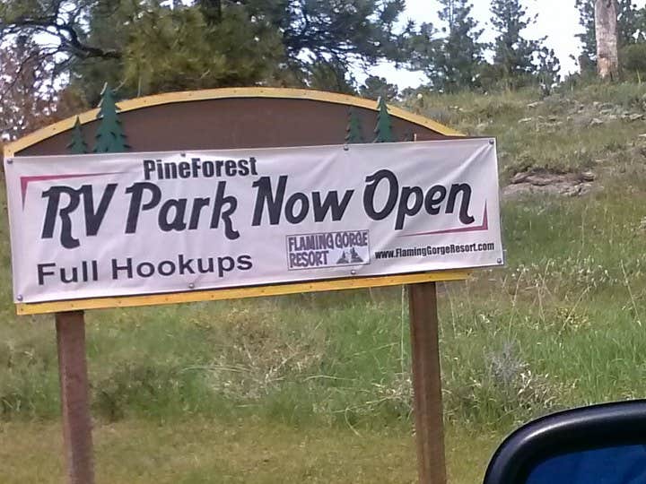 Camper-submitted photo at Pine Forest RV Park near Flaming Gorge, UT