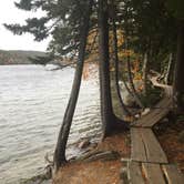 Review photo of Blackwoods Campground — Acadia National Park by SwitchbackKids , June 28, 2017