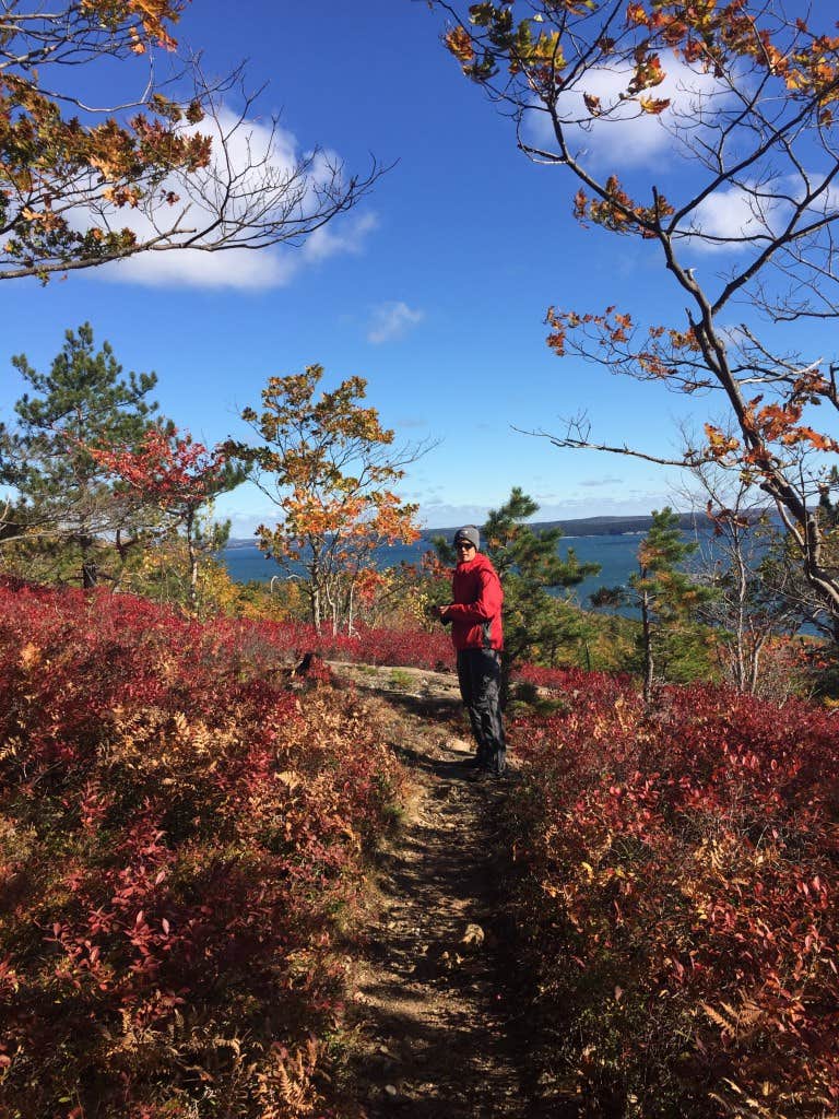 Camper submitted image from Blackwoods Campground — Acadia National Park - 5