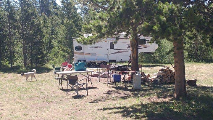Cortney M.'s photo of rv camping at Iron Springs Group Campground - Ashley National Forest near Roosevelt, UT