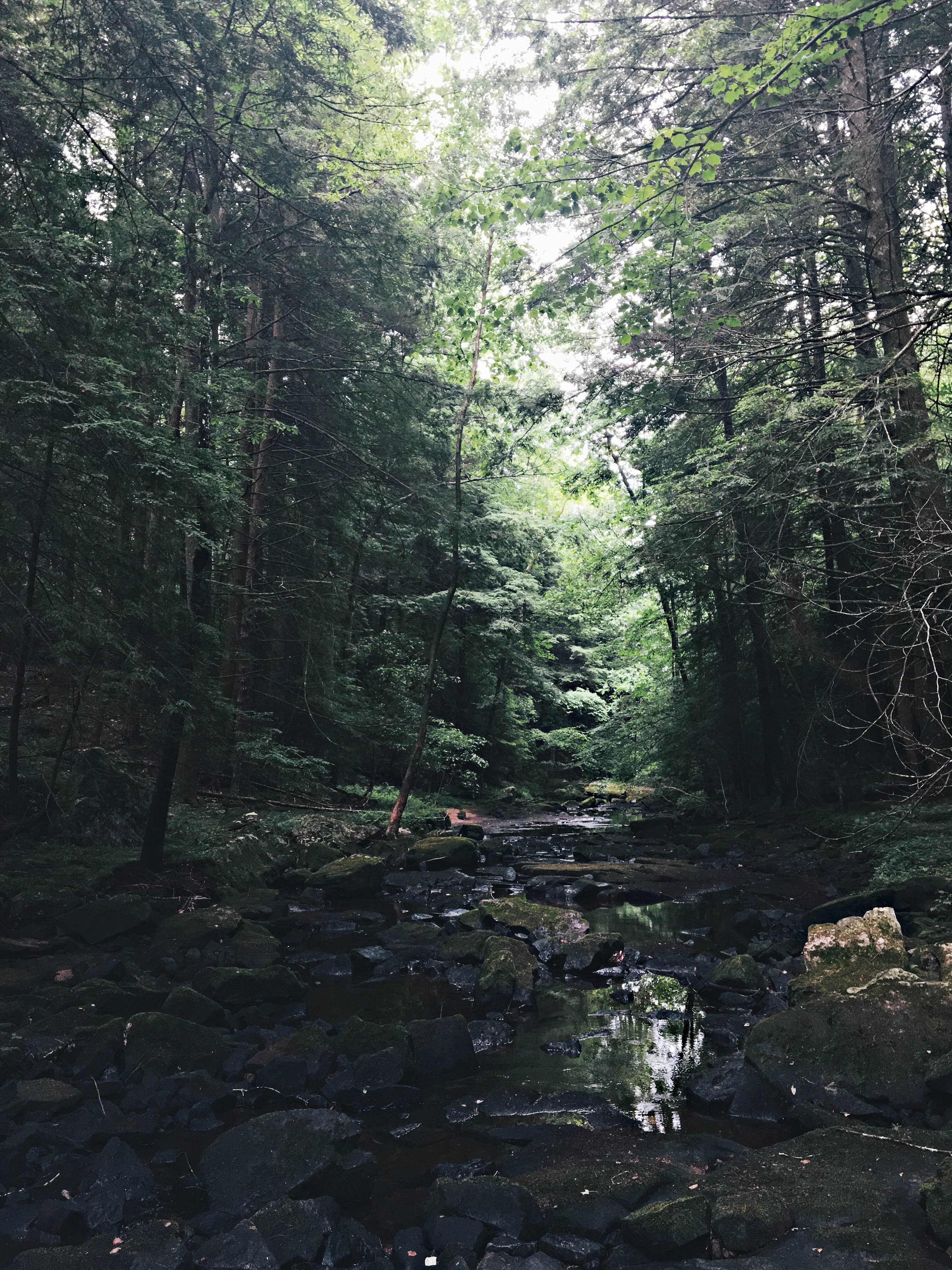 Camper submitted image from Foster Falls Campground — South Cumberland State Park - 3