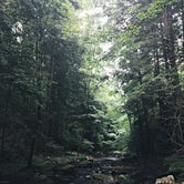 Review photo of Foster Falls Campground — South Cumberland State Park by Brittany S., June 22, 2016