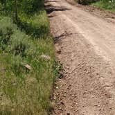 Review photo of Iron Springs Group Campground - Ashley National Forest by Cortney M., June 28, 2017