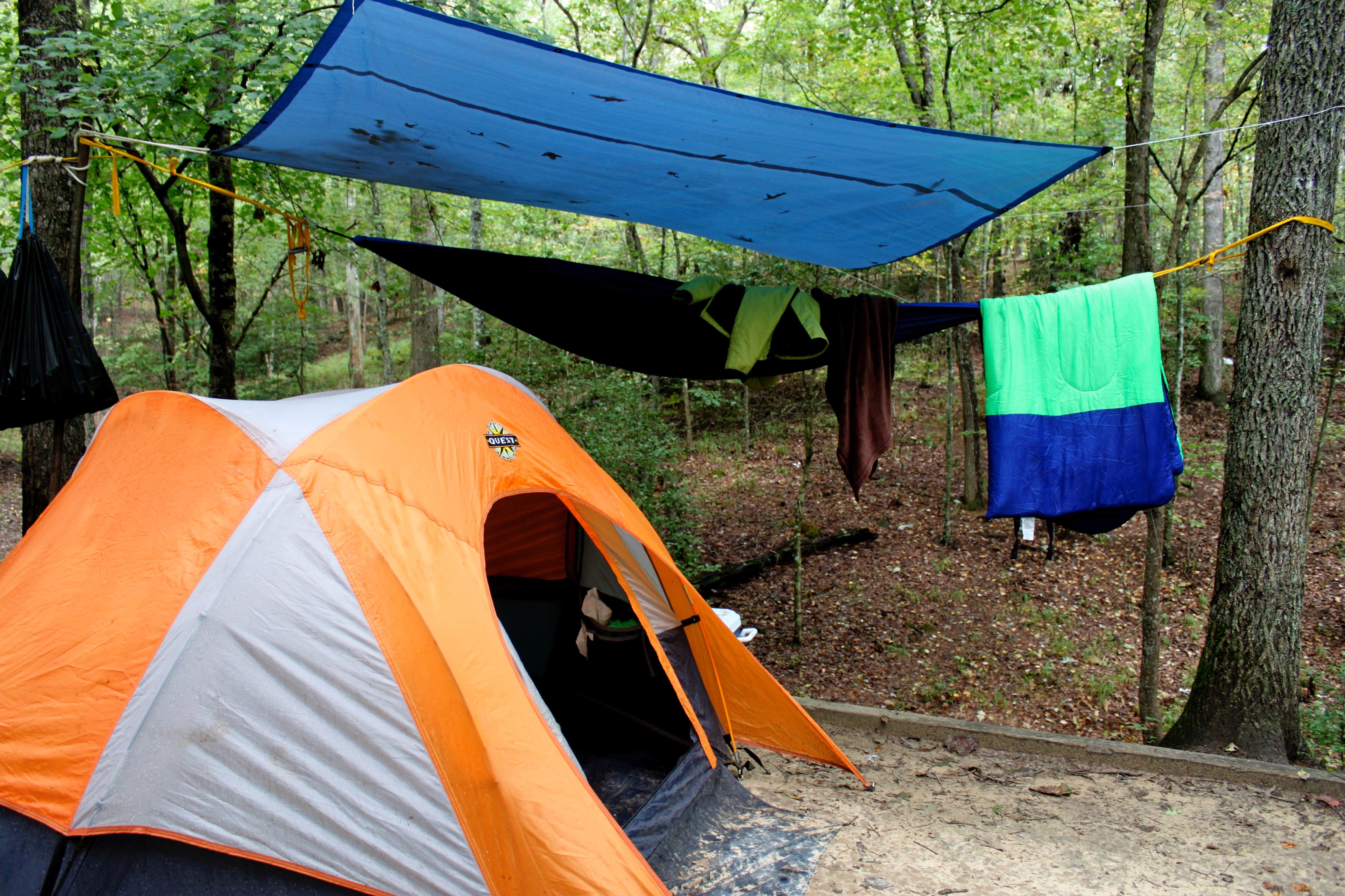 Camper submitted image from Fall Creek Falls State Park Campground - 3