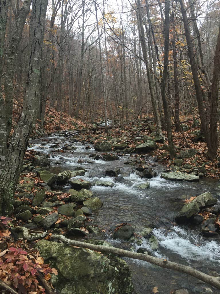 Big Meadows Campground — Shenandoah National Park