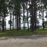 Review photo of Meaher State Park Campground by Asher K., June 28, 2017