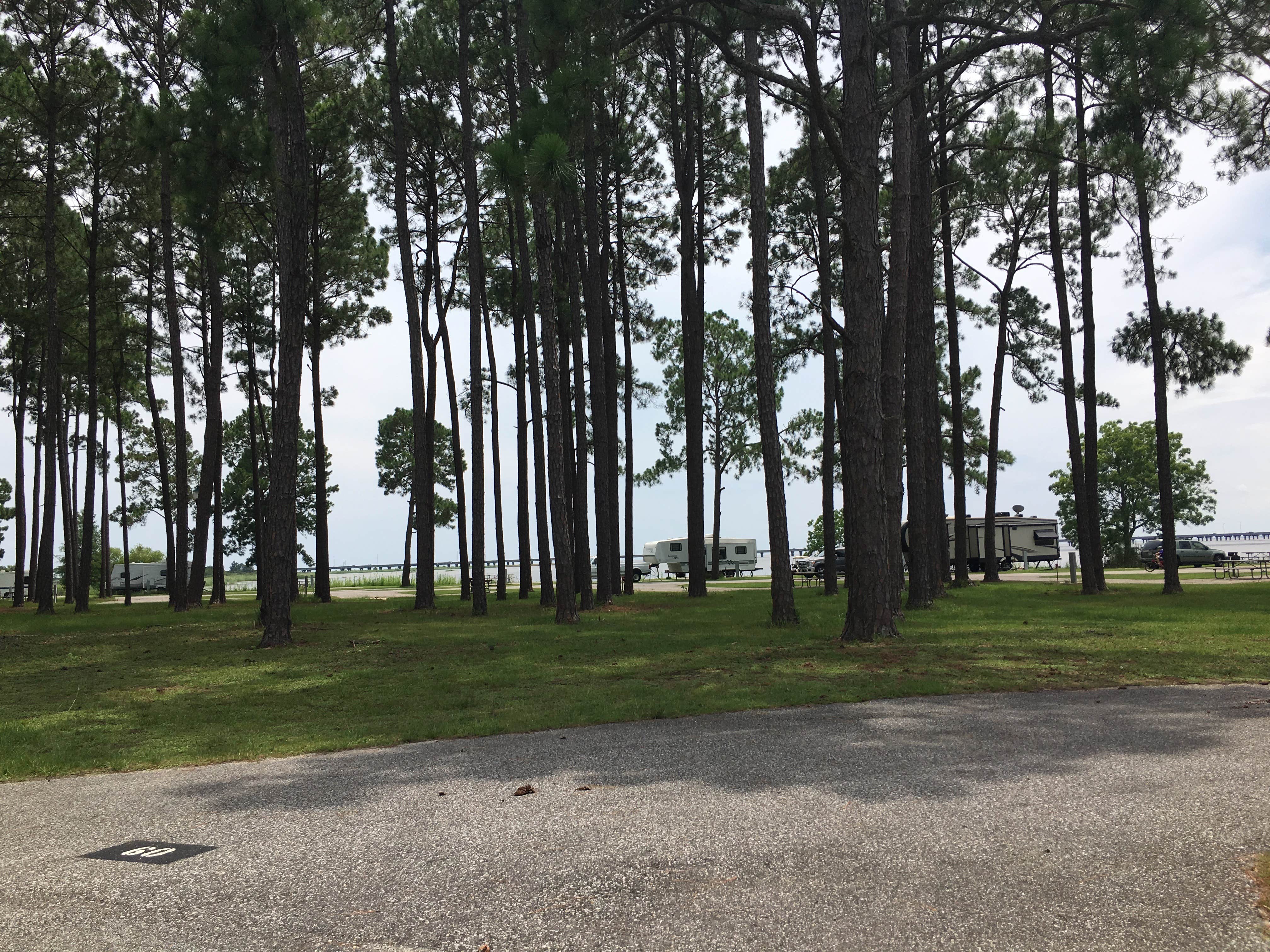 Camper submitted image from Meaher State Park Campground - 2