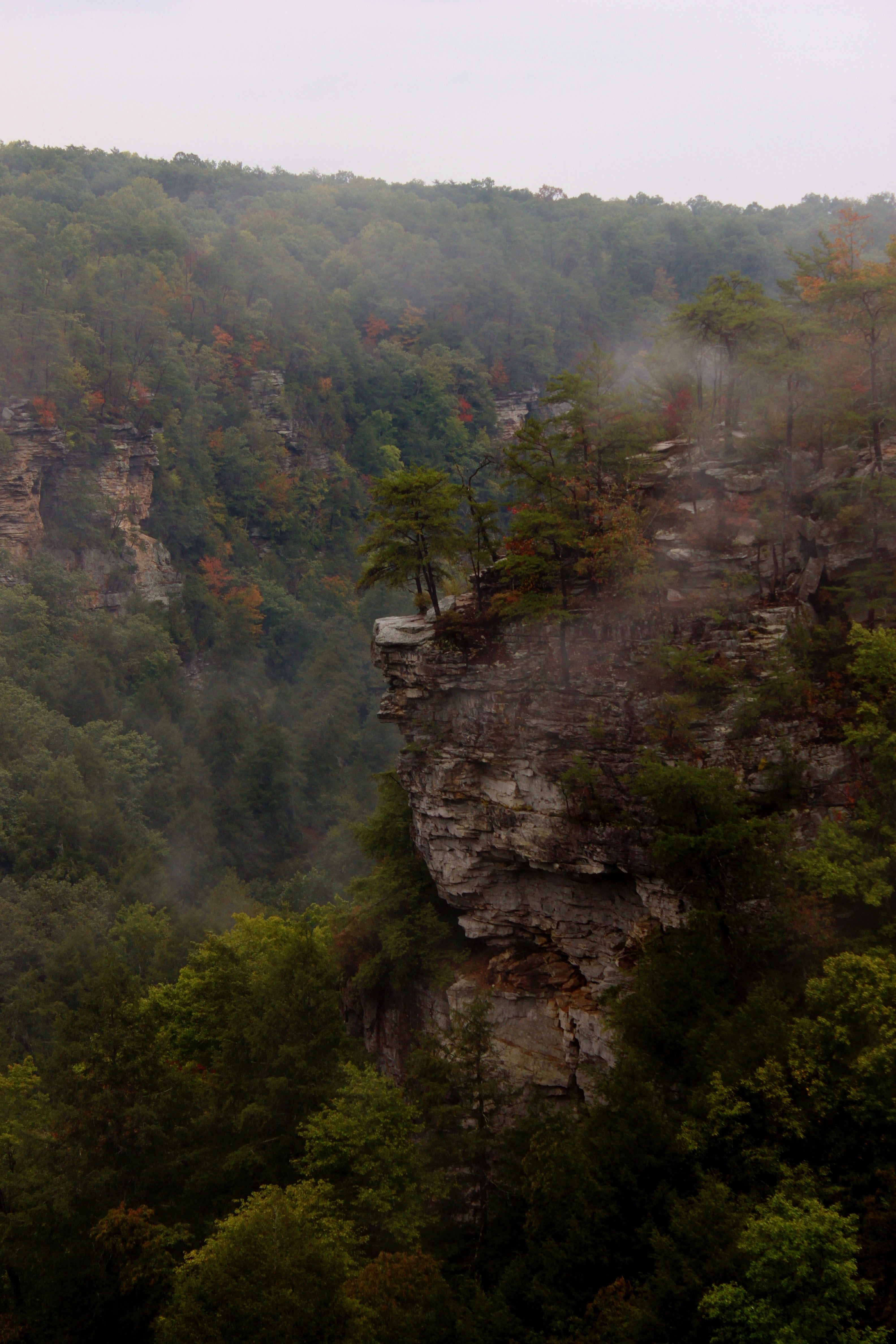 Camper submitted image from Fall Creek Falls State Park - 2