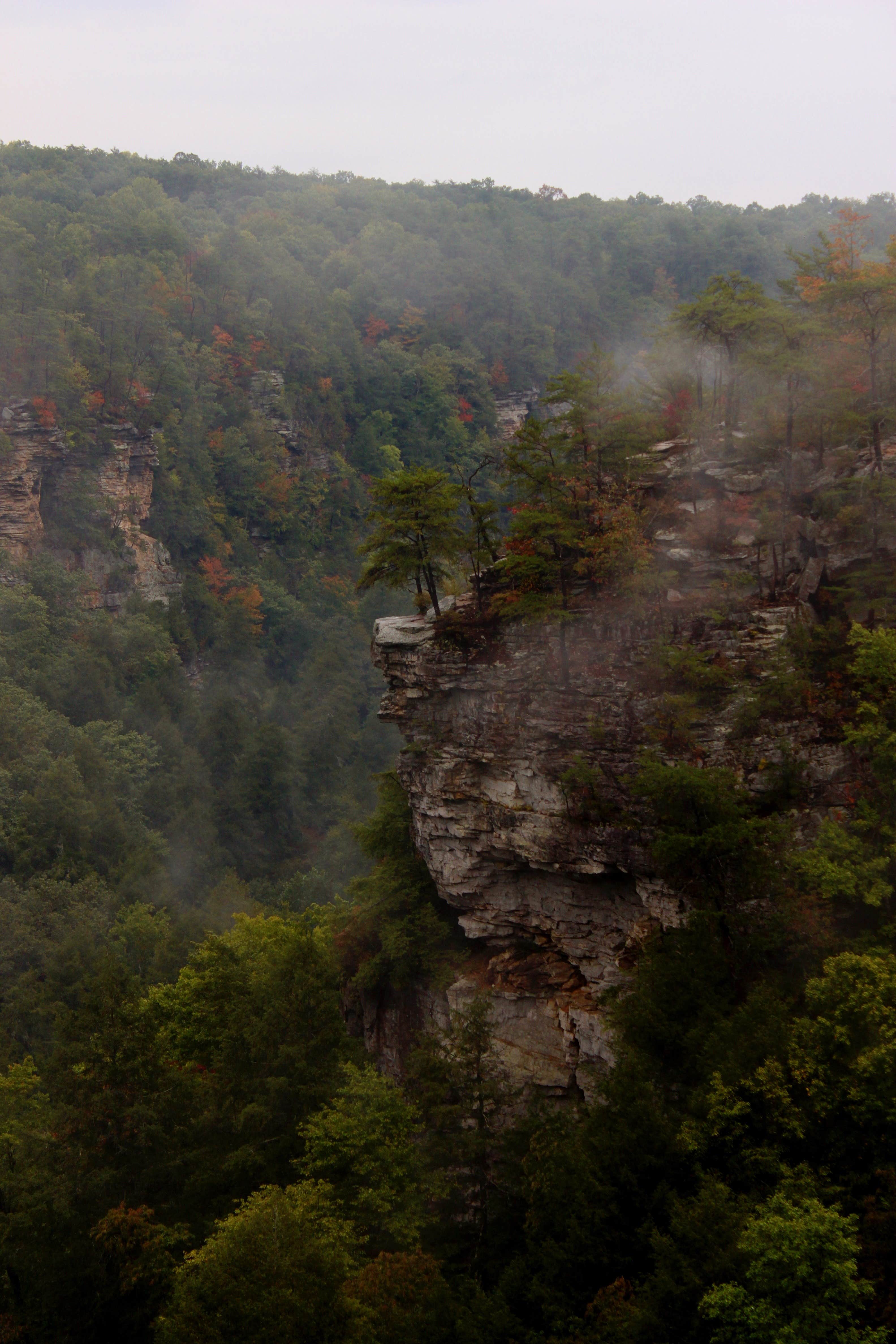 Camper submitted image from Fall Creek Falls State Park Campground - 2