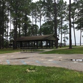 Review photo of Meaher State Park Campground by Asher K., June 28, 2017