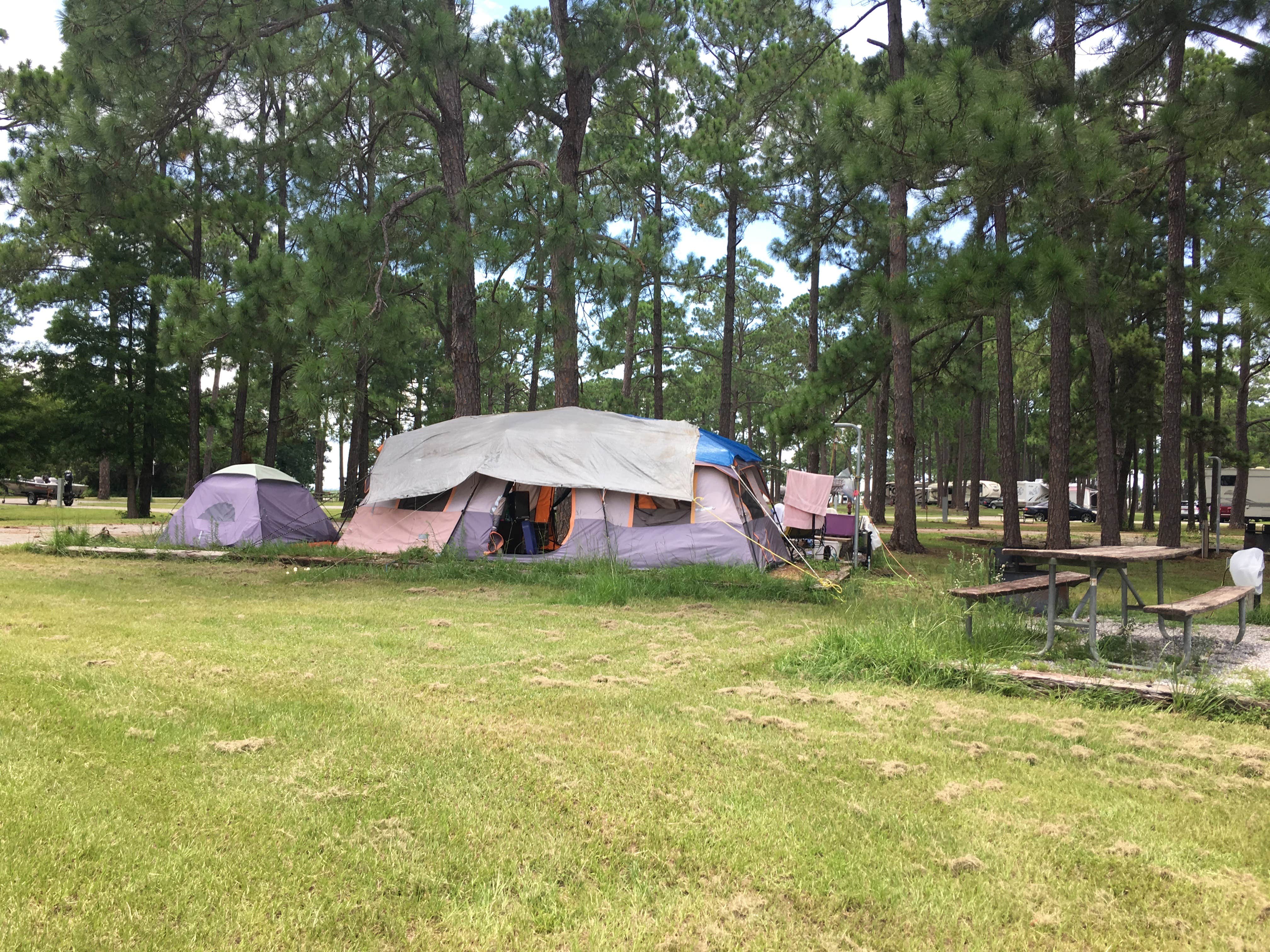 Asher K.'s photo of tent camping at Meaher State Park Campground near Pace, FL