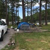 Review photo of Meaher State Park Campground by Asher K., June 28, 2017