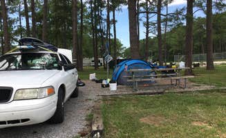 Asher K.'s photo at Meaher State Park Campground near Eight Mile, AL