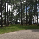 Review photo of Meaher State Park Campground by Asher K., June 28, 2017